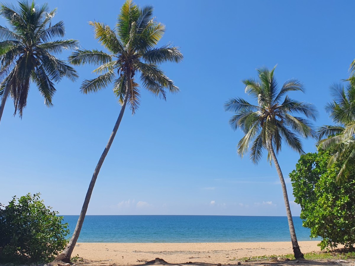 The Tropical North&nbsp;Queensland